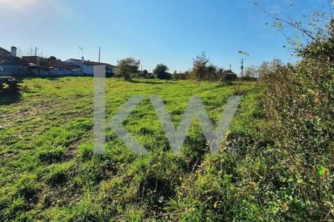 Helårsgrund i Coimbra, Coimbra, Coimbra - € 450.000 | Ref: KWPT-001979 - foto 2