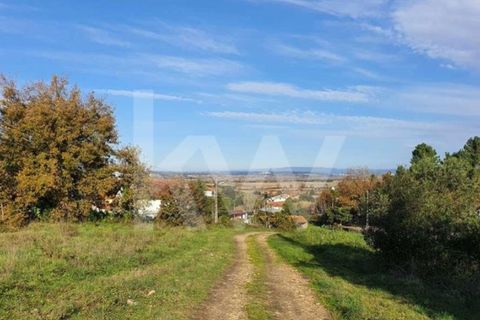 Helårsgrund i Coimbra, Coimbra, Coimbra - € 450.000 | Ref: 2226-1610 - foto 5