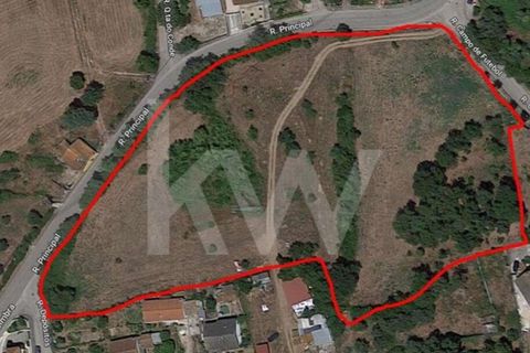 Helårsgrund i Coimbra, Coimbra, Coimbra - € 450.000 | Ref: 2226-1610 - foto 13