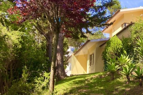 Villa i Carcavelos, Lisbon, Carcavelos - € 2.490.000 | Ref: KWPT-013493 - foto 28