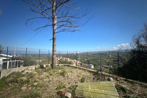 Terra a Condro, Messina, Condro - € 69.000 | Ref: TAF007 - foto 7