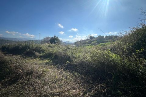 Terra a Condro, Messina, Condro - € 69.000 | Ref: TAF007 - foto 8