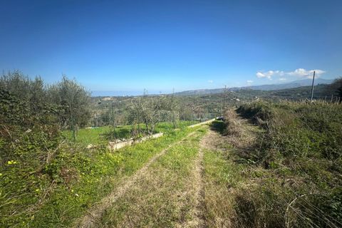 Terra a Condro, Messina, Condro - € 69.000 | Ref: TAF007 - foto 9