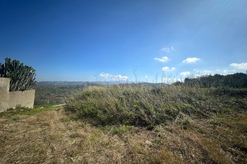 Terra a Condro, Messina, Condro - € 69.000 | Ref: TAF007 - foto 11