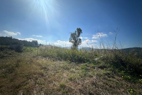 Terra a Condro, Messina, Condro - € 69.000 | Ref: TAF007 - foto 12