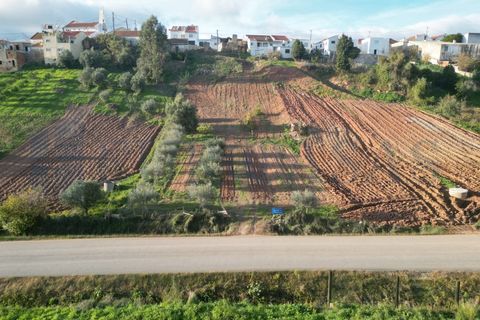 Helårsgrund i Alenquer, Lisbon, Alenquer - € 37.000 | Ref: 175/26 - foto 3