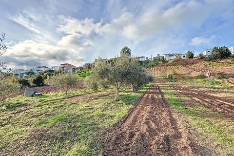 Helårsgrund i Alenquer, Lisbon, Alenquer - € 37.000 | Ref: 175/26 - foto 7