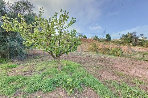 Helårsgrund i Alenquer, Lisbon, Alenquer - € 37.000 | Ref: 175/26 - foto 9