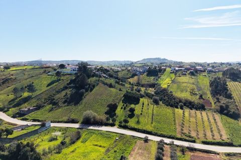 Helårsgrund i Alenquer, Lisbon, Alenquer - € 37.000 | Ref: 175/26 - foto 12