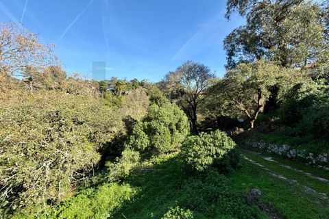 Villa i Sintra, Lisbon, Sintra - € 1.080.000 | Ref: KWPT-018628 - foto 5
