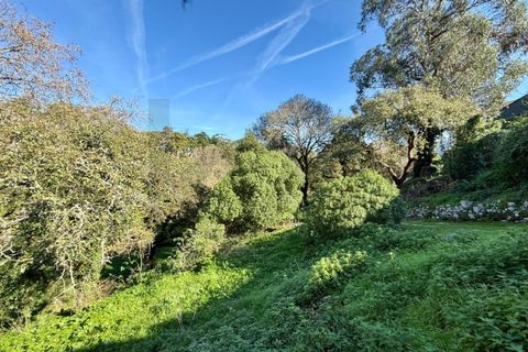 Villa i Sintra, Lisbon, Sintra - € 1.080.000 | Ref: KWPT-018628 - foto 16