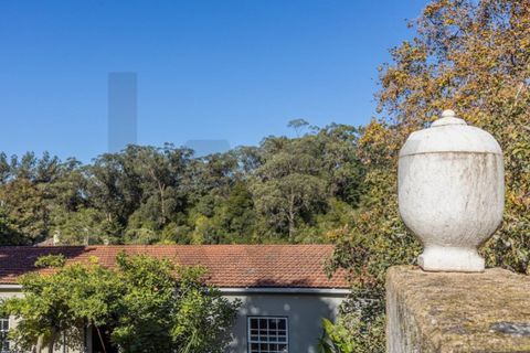 Villa i Sintra, Lisbon, Sintra - € 1.080.000 | Ref: KWPT-018628 - foto 23