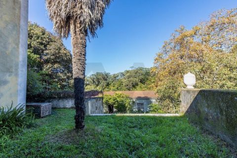 Villa i Sintra, Lisbon, Sintra - € 1.080.000 | Ref: KWPT-018628 - foto 24