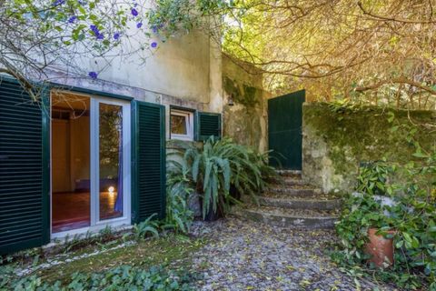 Villa i Sintra, Lisbon, Sintra - € 1.080.000 | Ref: KWPT-018628 - foto 28