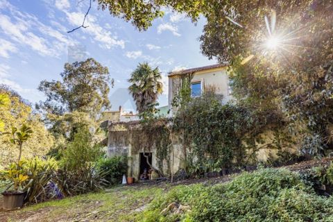 Villa i Sintra, Lisbon, Sintra - € 1.080.000 | Ref: KWPT-018628 - foto 31