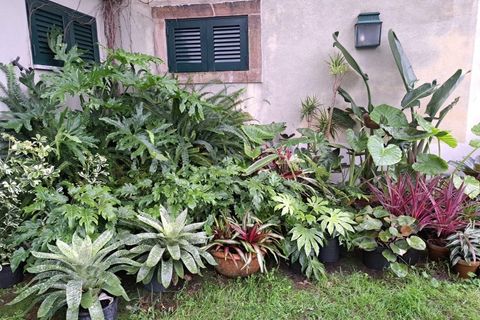 Villa i Sintra, Lisbon, Sintra - € 1.080.000 | Ref: KWPT-018628 - foto 35