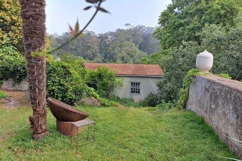 Villa i Sintra, Lisbon, Sintra - € 1.080.000 | Ref: KWPT-018628 - foto 36