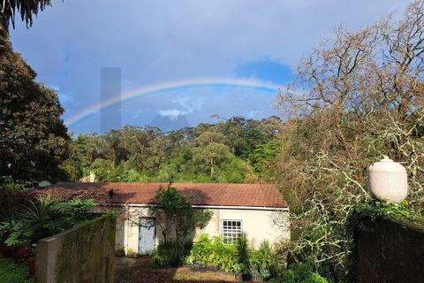 Villa i Sintra, Lisbon, Sintra - € 1.080.000 | Ref: KWPT-018628 - foto 37