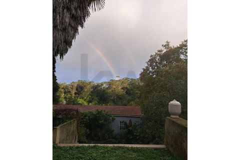 Villa i Sintra, Lisbon, Sintra - € 1.080.000 | Ref: KWPT-018628 - foto 38