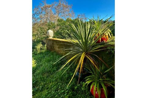 Villa i Sintra, Lisbon, Sintra - € 1.080.000 | Ref: KWPT-018628 - foto 40