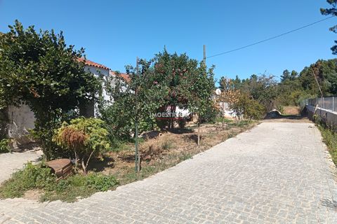 Villa a Trancoso, Guarda, Trancoso - € 130.000 | Ref: 26003 - foto 9