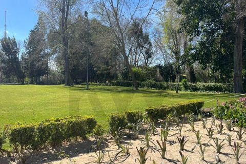 Villa i Montijo, Setubal, Montijo - € 1.800.000 | Ref: KWPT-029854 - foto 35