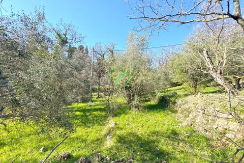 Helårsgrund i Opio, Alpes-Maritimes, Opio - € 560.000 | Ref: 86835166 - foto 1