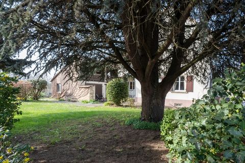 Villa i Lampertheim, Bas-Rhin, Lampertheim - € 469.000 | Ref: 340937248552 - foto 13