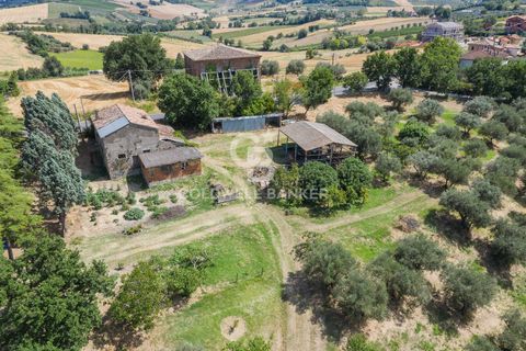 Landejendom i Coriano, Rimini, Coriano - € 160.000 | Ref: CBI099-1528-520823 - foto 3