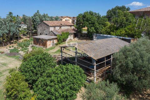 Landejendom i Coriano, Rimini, Coriano - € 160.000 | Ref: CBI099-1528-520823 - foto 5