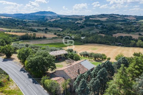 Landejendom i Coriano, Rimini, Coriano - € 160.000 | Ref: CBI099-1528-520823 - foto 8