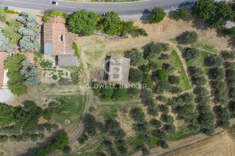 Landejendom i Coriano, Rimini, Coriano - € 160.000 | Ref: CBI099-1528-520823 - foto 9