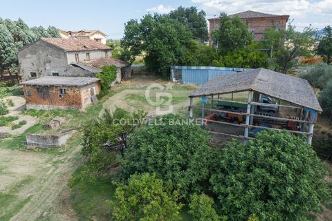 Landejendom i Coriano, Rimini, Coriano - € 160.000 | Ref: CBI099-1528-520823 - foto 12