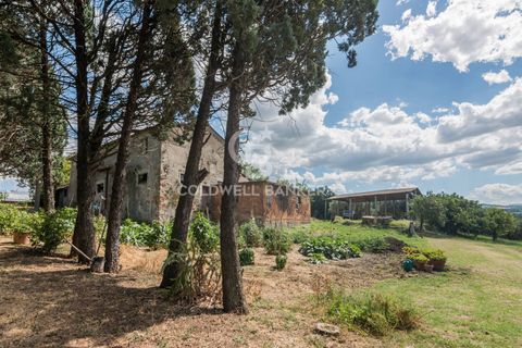 Landejendom i Coriano, Rimini, Coriano - € 160.000 | Ref: CBI099-1528-520823 - foto 14