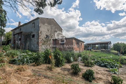 Landejendom i Coriano, Rimini, Coriano - € 160.000 | Ref: CBI099-1528-520823 - foto 15