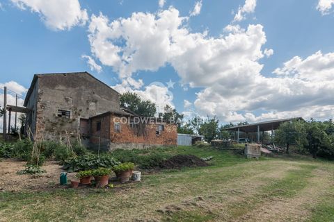 Landejendom i Coriano, Rimini, Coriano - € 160.000 | Ref: CBI099-1528-520823 - foto 16