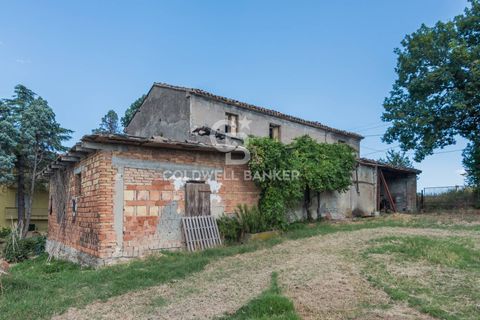 Landejendom i Coriano, Rimini, Coriano - € 160.000 | Ref: CBI099-1528-520823 - foto 18