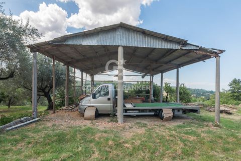 Landejendom i Coriano, Rimini, Coriano - € 160.000 | Ref: CBI099-1528-520823 - foto 19