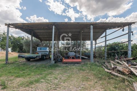 Landejendom i Coriano, Rimini, Coriano - € 160.000 | Ref: CBI099-1528-520823 - foto 20