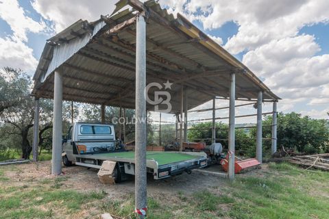 Landejendom i Coriano, Rimini, Coriano - € 160.000 | Ref: CBI099-1528-520823 - foto 21