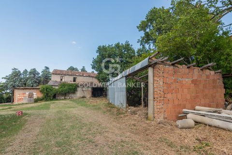 Landejendom i Coriano, Rimini, Coriano - € 160.000 | Ref: CBI099-1528-520823 - foto 22