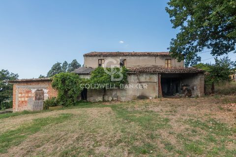 Landejendom i Coriano, Rimini, Coriano - € 160.000 | Ref: CBI099-1528-520823 - foto 23