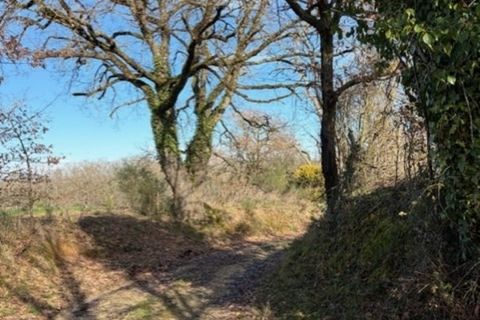 Villa i Plaisance, Gers, Plaisance - € 182.000 | Ref: 340935960165 - foto 32
