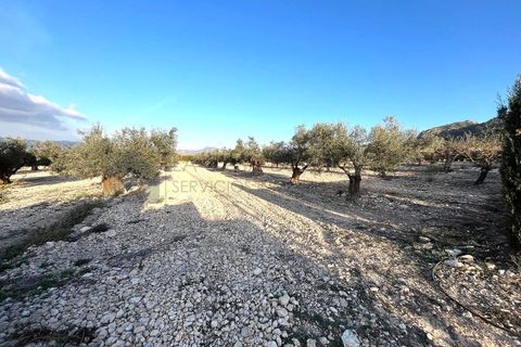 Masia a Salinas, Alicante, Salinas - € 157.000 | Ref: CAS_1622 - foto 16