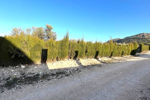 Masia a Salinas, Alicante, Salinas - € 157.000 | Ref: CAS_1622 - foto 18