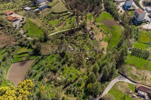 Terra a Covilha, Castelo Branco, Covilha - € 20.000 | Ref: 111260082 - foto 3