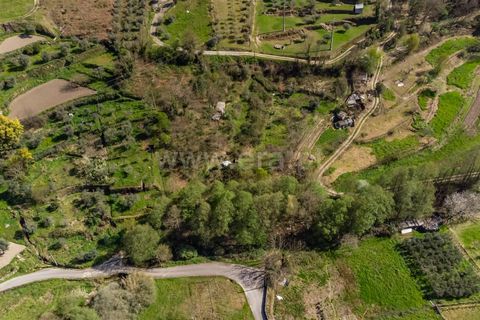 Terra a Covilha, Castelo Branco, Covilha - € 20.000 | Ref: 111260082 - foto 4