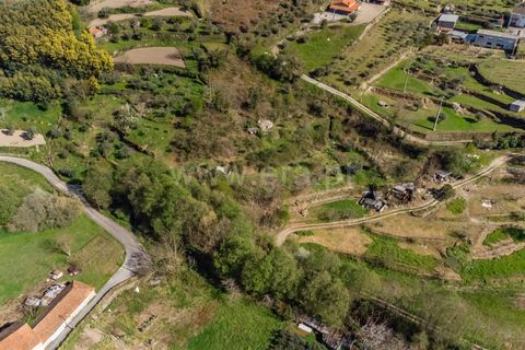 Terra a Covilha, Castelo Branco, Covilha - € 20.000 | Ref: 111260082 - foto 5