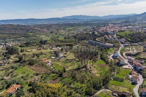 Terra a Covilha, Castelo Branco, Covilha - € 20.000 | Ref: 111260082 - foto 11