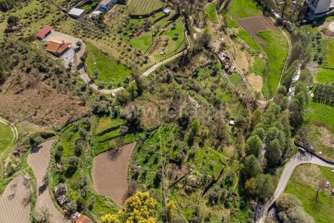 Terra a Covilha, Castelo Branco, Covilha - € 20.000 | Ref: 111260082 - foto 13